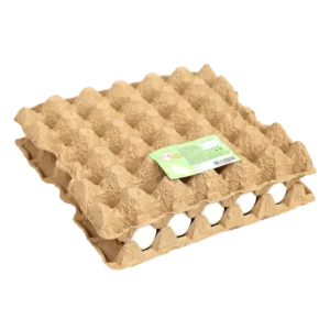 Fresh White Eggs ( 30 pcs)